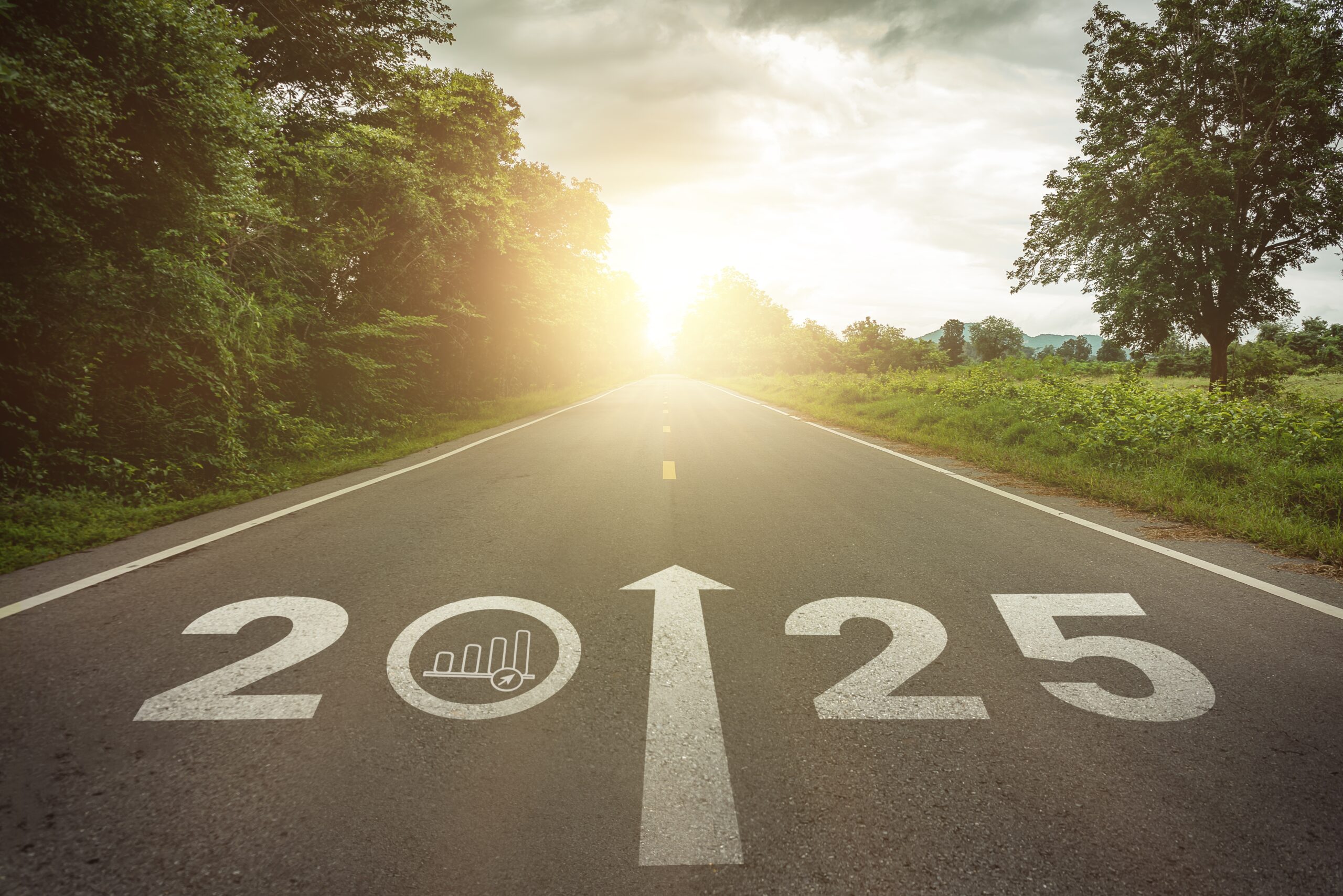 2025,Goal,Plan,Action,,Business,Target,And,Growth,Strategy.,Business a road with the year 2025 on the pavement with a sunset at the end of it